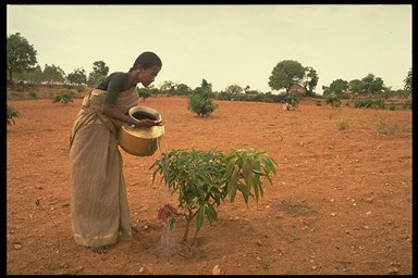 World Day to Combat Desertification and Drought – 17 June 2007