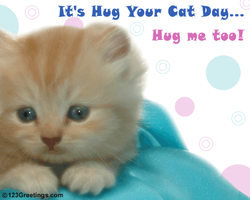 Hug Your Cat Day May 12?
