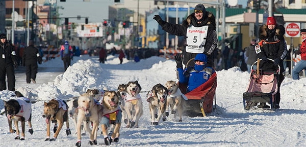 I know everything about a dog sled race calle the Iditarod
