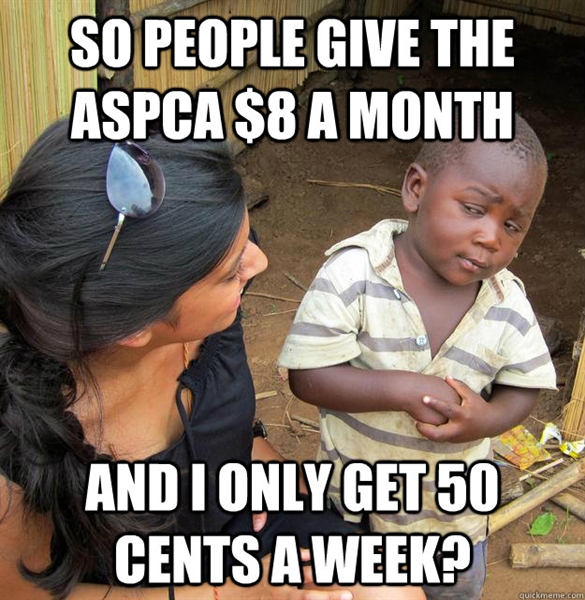 Do you get a shirt if you donate to aspca?