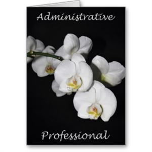 Administrative Professionals Day or Secretary's Da - Administrative Professional