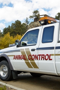 Animal Control Officer Appreciation Week - BBS Recognizes Animal Control