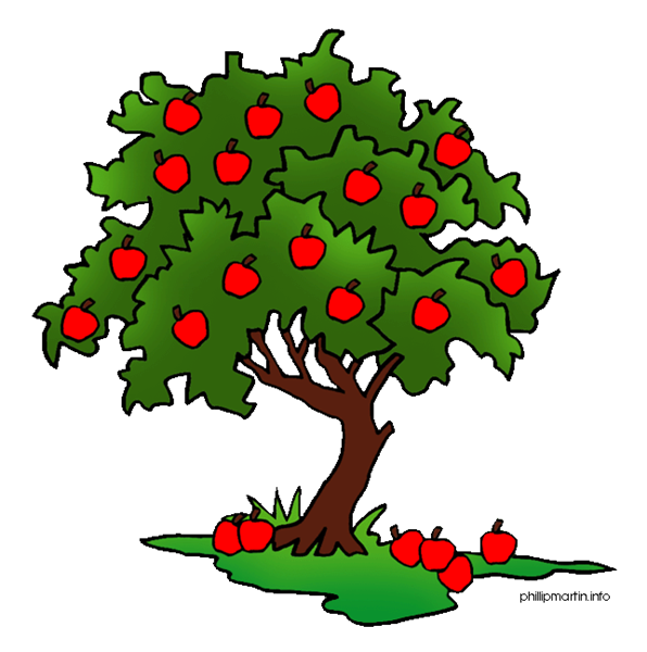 how to grow an apple tree from seeds?