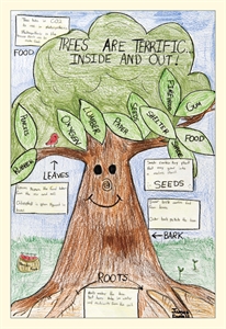 Arbor Day - How Does Arbor Day Relate To Ecology ?