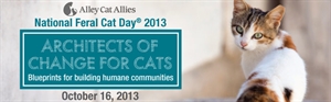 National Feral Cat Day - Feb 17th - an International Cat Day?