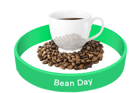 How much beans per day?