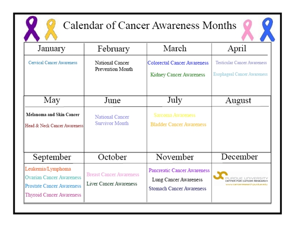 Why do we have Breast cancer awareness month, but no cancer awareness month?