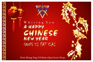 Chinese New Year - chinese new year!!!?
