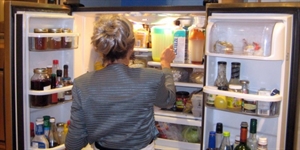 Clean Out Your Refrigerator Day - Best way to quickly clean refrigerator, microwave, and kitchen surfaces.?
