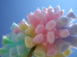 National Cotton Candy Day - What can i write for my topic sentence about cotton candy?