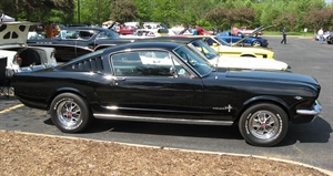 Ford Mustang Day - Ford Mustang?