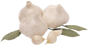 Is eating an entire head of garlic a day too much?