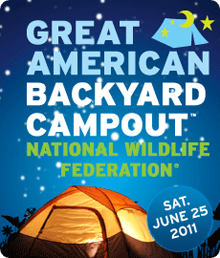 Great American Backyard Campout Archives - Slow Family