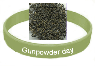 impact of gunpowder on our world?