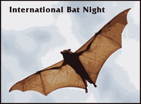 Are bats blind??????????????????