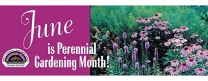 June is Perennial Gardening Month - Where can I find a good guide to what flowers are in bloom each month?