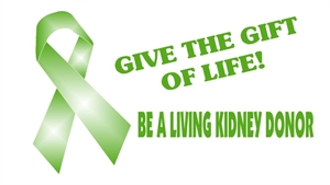 National Kidney Month - If you could declare a national holiday celebrating something, what would it be?
