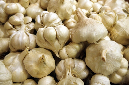 can i eat raw garlic every day ? what the benefits ?