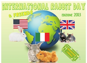 International Rabbit Day - What's your opinion of Rabbit TV ?