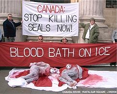International Day of Action for the Seals 2010.Help stop the Seal ...