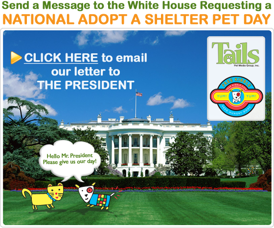 I WANNA GET A SHELTER PET THIS YEAR?