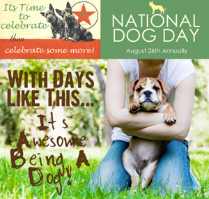 National Dog Day - Tomorrow is National Take Your Dog to Work Day!!?!?!?