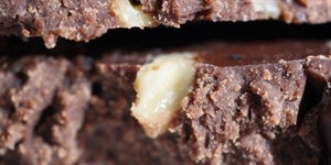 Nutty Fudge Day - what happened to the nutty bar?