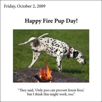 Of Fire-fighters and Dalmatians?