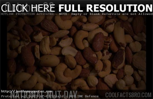 National Nut Day - Since Today is NaTional daTe-nuT bread day, do you happen To like iT?