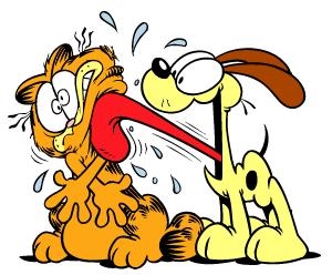 Odie Day - Grooming My Dog