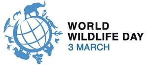 World Wildlife Day - Why did the World Wildlife Fund wait to sue the WWF?
