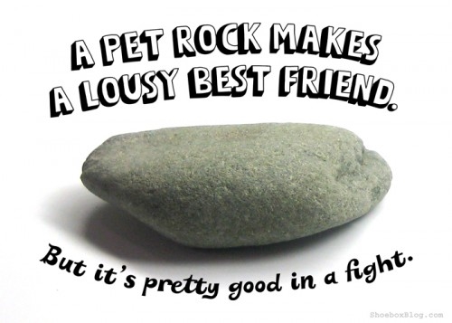 how to keep my pet rock happy?
