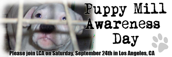 did you know Sept 16 is awareness day - a day to shine the light on puppy mills?