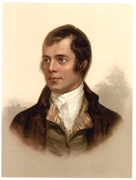 can anyone tell me what the poem "to a louse" by robert burns means?