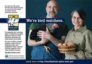 Bird Health Awareness Week - Arrgghhh! Please help!!!?