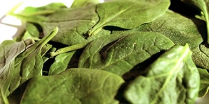 Spinach Day - What is a healthy serving of spinach per day?
