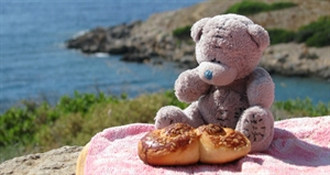 Teddy Bear Picnic Day - lyrics for the teddy bears picnic?