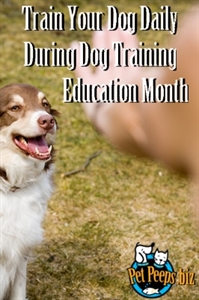 Dog Training Education Month - my dogs behavior help?!!!?
