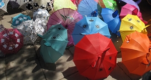 Umbrella Day - Umbrellas