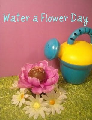 How Often Should I Water Flowers?