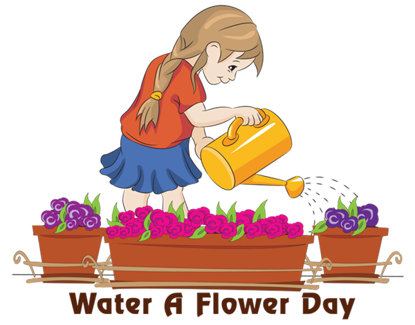 best time to water flowers?