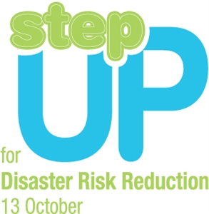 International Day for Disaster Reduction - hi frnsi want to create a evs project file?