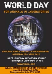 World Day for Animals in Laboratories - In regards to nocturnal animals.?