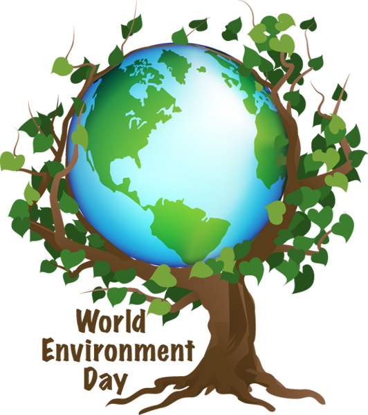 i want some information on world environment day .How it started of etc.?