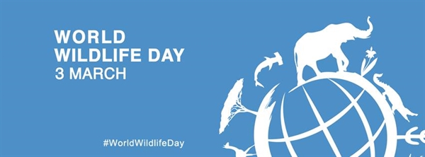 How to observe "Endangered Species Day" (May 17)? World Wildlife?