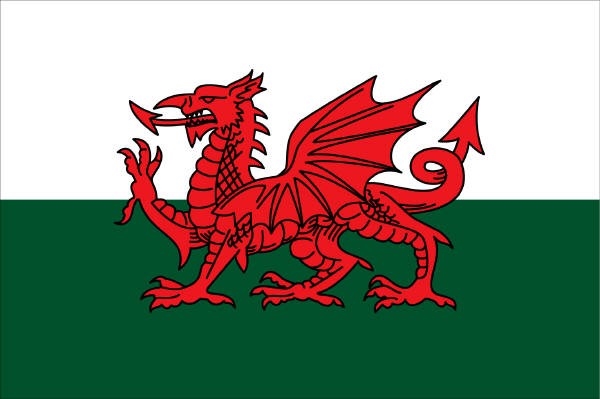 When is Saint David’s Day, and do you celebrate this day and how?