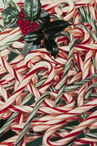 National Candy Cane Day - Mexico city for day of the dead.?