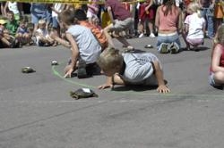 Turtle Races Day - Who is winning now a days: the rabbit or the turtle?