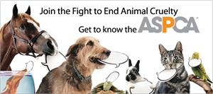 ASPCA Month - are there any ASPCAs in nyc?