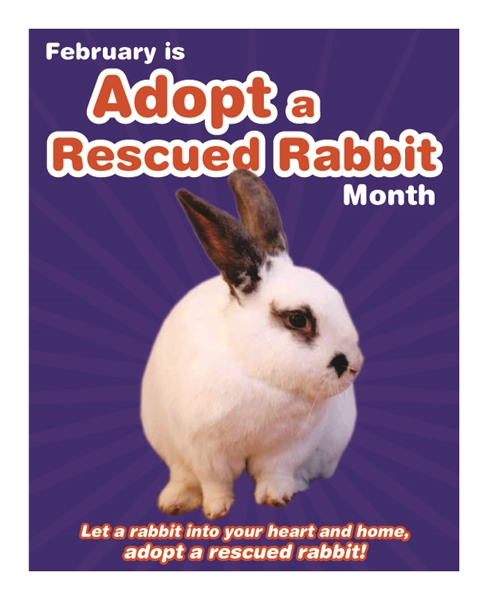 It's 'ADOPT A RESCUED RABBIT' Month!